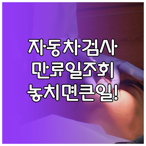 자동차검사 만료일 조회방법과 검사 일정 확인