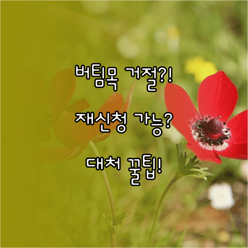 청년전용 버팀목대출 거절돼도 재신청 가능할까? 대처 방법