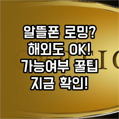 알뜰폰 해외 로밍 지원 통신사와 가능 여부 확인 방법