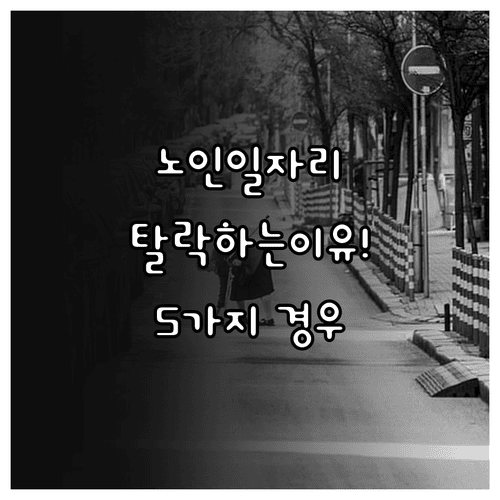 공공형 노인일자리 탈락하는 5가지 경우와 선발 과정